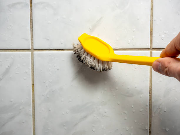 Mold Testing and Removal in Maytown, PA